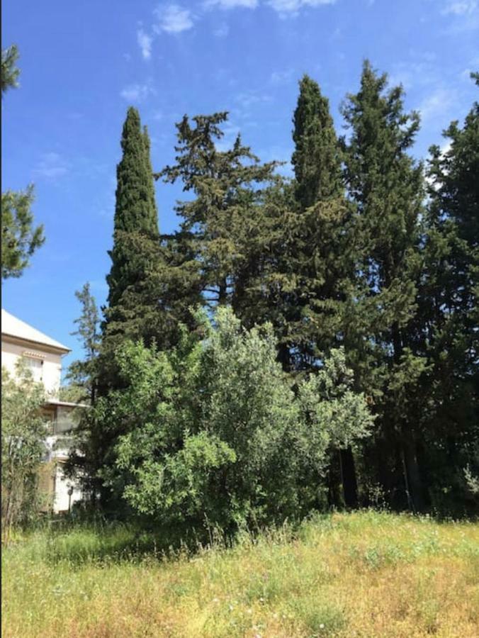 Villa Salomi Lefkáda 外观 照片